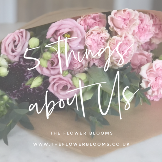 the uk's first flower club