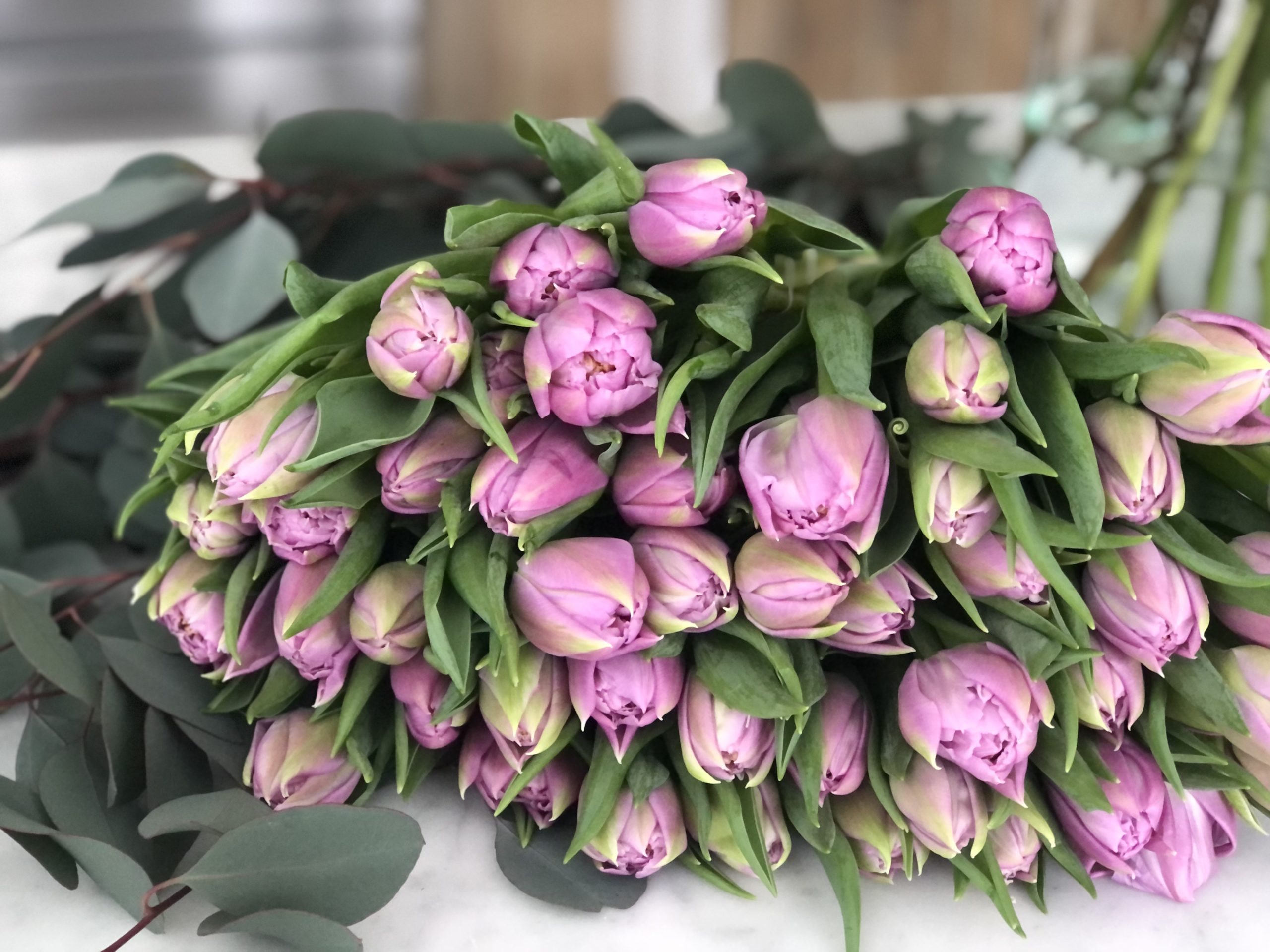 Bundle of pink tulips